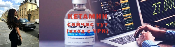 PSILOCYBIN Бородино