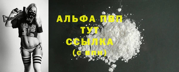 PSILOCYBIN Бородино