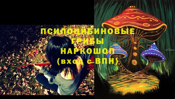 ПСИЛОЦИБИНОВЫЕ ГРИБЫ Бронницы